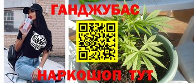 метадон Новозыбков